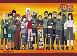 Naruto Shippuden Character Group Wall Scroll 31" x 44"