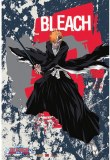 Bleach Ichigo with Visor Wall Scroll 33" x 44"