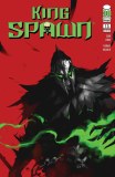 King Spawn #13 Cvr B