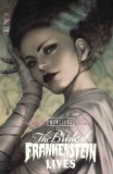 Universal Monsters Bride of Frankenstein Lives #1 Cvr C