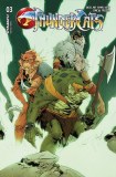 Thundercats #3 Cvr D