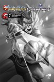 Thundercats x Silverhawks #1 20 Copy Variant