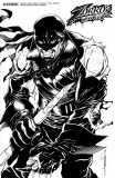 Zorros Legacy #2 Cvr D