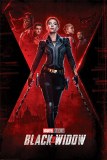 Black Widow Unfinished Business Movie Poster