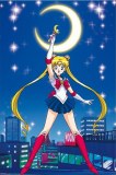 Sailor Moon 24x36 Poster