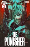 Marvel Knights Punisher #4 Giang Variant