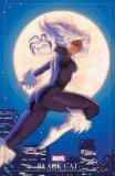 Jackpot and Black Cat #1 Hildebrandt Variant