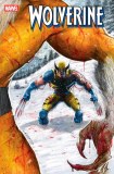 Wolverine #12 Ferreyra Variant