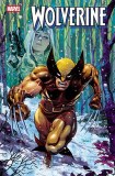 Wolverine #14