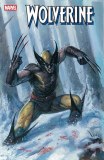 Wolverine #14 Paratore Variant