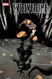 Wolverine #26 Nogi San Variant