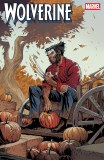 Wolverine #27 Netho Diaz Fall Fantasies Variant