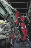 Amazing Spider-Man #1 2nd Ptg 25 Stegman Virgin Variant