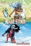 Rogue Storm #1