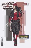 Daredevil Punisher Devils Trigger #1 Lee Street-Verse Variant