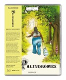 Palindromes 4K UHD
