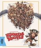 Hundreds of Beavers Blu ray