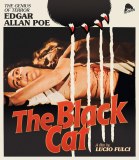 Black Cat 4K UHD
