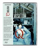 Visitor Q Blu ray
