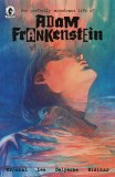 Perfectly Monstrous Life of Adam Frankenstein One-Shot Cvr B