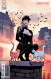 Catwoman #84 Asrar Variant
