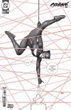 Catwoman #88 Cvr B Frank Cho Card Stock Variant