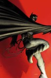 Batman Gargoyle of Gotham #4 Daneluz Variant