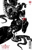 Knight Terrors Catwoman #2 25 Copy Variant
