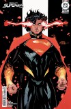 Absolute Superman #25 Cvr B Terry Dodson Card Stock Variant