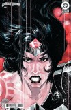 Absolute Wonder Woman #14 Nguyen Variant