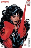 Absolute Wonder Woman #24 Cvr B Terry Dodson Card Stock Variant