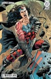 Absolute Wonder Woman #25 Cvr D Bryan Hitch Connecting Card Stock Variant