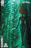 Aquaman #14 Cvr B Nathan Szerdy Card Stock Variant