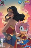 DC X Sonic The Hedgehog The Metal Legion #2 Cvr B Card Stock Variant