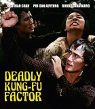 Deadly Kung-Fu Factor aka The Delivery Blu ray