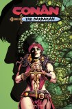 Conan Barbarian #18 Cvr C Lau