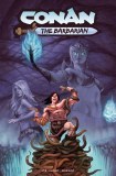 Conan Barbarian #21 Cvr D Lee