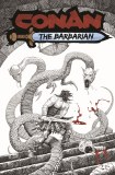 Conan the Barbarian #24 Cvr B