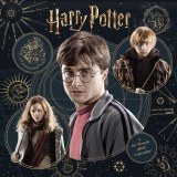 2027 Harry Potter Wall Calendar