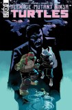 TMNT Ongoing #119