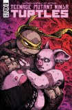 TMNT Ongoing #134 Cvr B