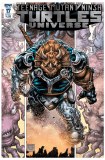 TMNT Universe #17 Cvr A