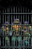 Teenage Mutant Ninja Turtles 2024 #11 10 Copy Variant