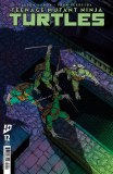 Teenage Mutant Ninja Turtles #12