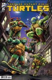 Teenage Mutant Ninja Turtles #15 Cvr C
