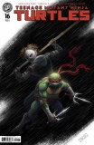 Teenage Mutant Ninja Turtles #16 Cvr D