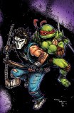 Teenage Mutant Ninja Turtles #16 25 Copy Variant