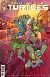 Teenage Mutant Ninja Turtles #18 Cvr C
