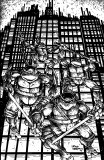 Teenage Mutant Ninja Turtles #20 Kevin Eastman B&W Variant
