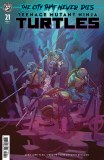 Teenage Mutant Ninja Turtles #21 Variant C